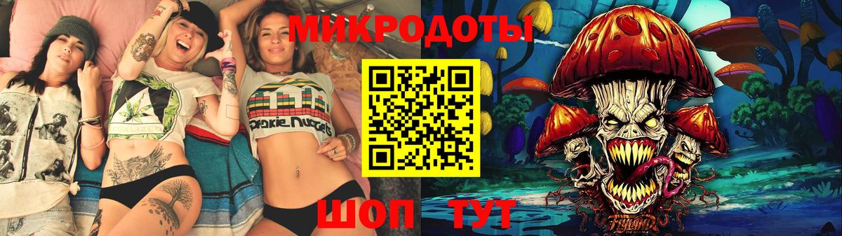 Псилоцибиновые грибы Psilocybe Воронеж